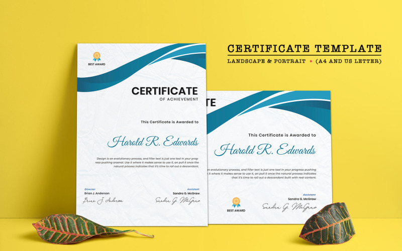 Download Шаблон сертификата "Appreciation Certificate Template" / Appreciation Certificate Template - Шаблон сертификата на тему графика certificate,landscape,portrait,print,corporate,business,psd,modern,colorful,frame,diploma,graduation,template,professional,academy