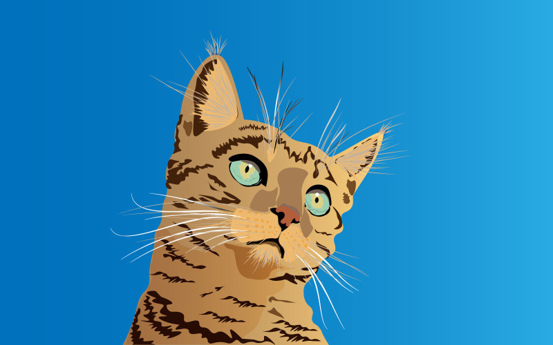 Realistisches Katzengesicht - Illustration