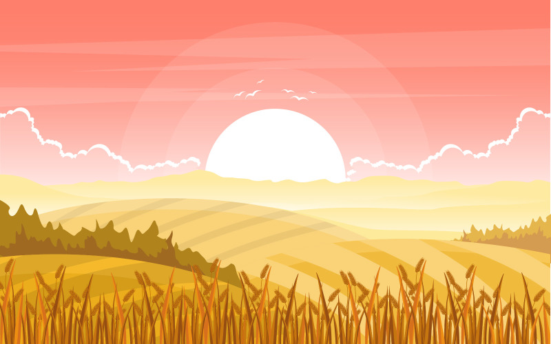 Evening Wheat Field Landscape - Illustration
