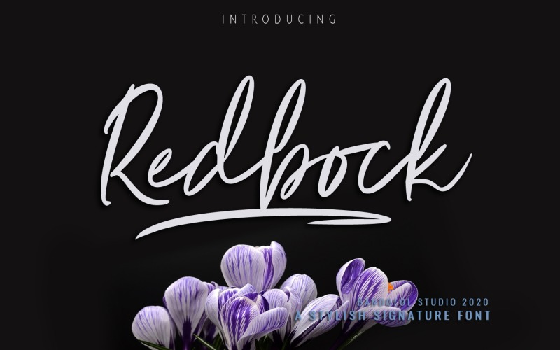 Download Шрифт "Redbock Signature Font" / Redbock Signature Font - Шрифт на тему графика signature