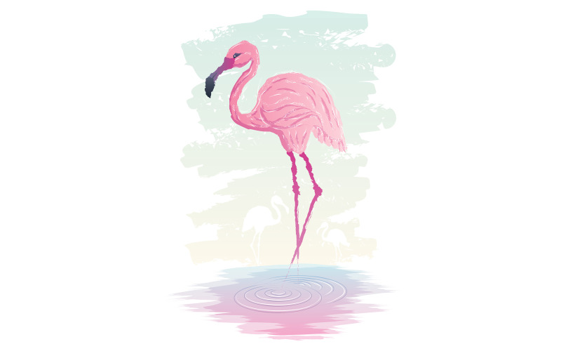 Flamingo - Illustration