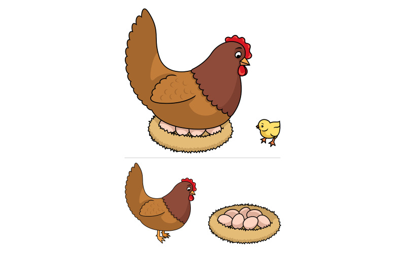 Gallina - Illustrazione