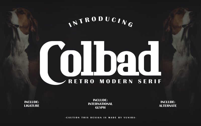 Download Шрифт "Colbad | Retro Modern Serif Font" / Colbad | Retro Modern Serif Font - Шрифт на тему графика letters,typography,vector,alphabet,type,design,modern,letter,background,logo,typeface,symbol,font,fonts,italic,minimal,art,luxury,serif,fashion