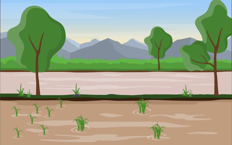 Plantação de arrozal - ilustração