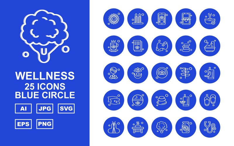 25 set di icone Premium Wellness Blue Circle