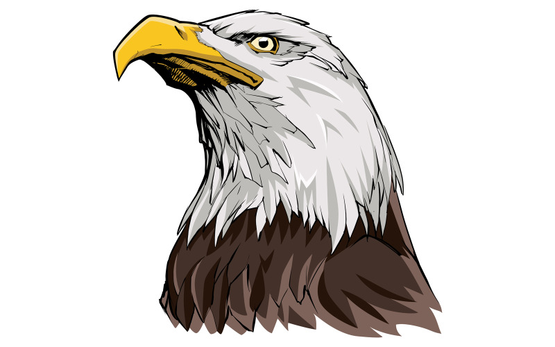 Download Иллюстрация "Bald Eagle - Illustration" / Bald Eagle - Illustration - Иллюстрация на тему графика eagle,head,american,bald,bird,animal,symbol,national,patriotic,patriotism,4th of july,4th july,wild,nature,illustration,mascot,freedom,design,predator,raptor
