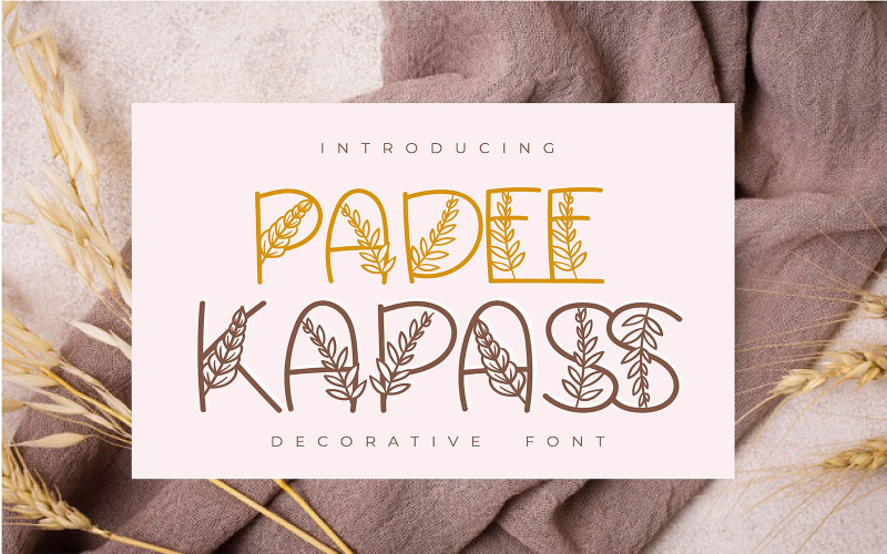 Download Шрифт "Padee Kapass | Decorative Font" / Padee Kapass | Decorative Font - Шрифт на тему графика vector,vintage,decorative,border,frame,retro,decoration,label,set,ornament,ornate,line,element,classic,design,illustration,swirl,calligraphic,style,elegant