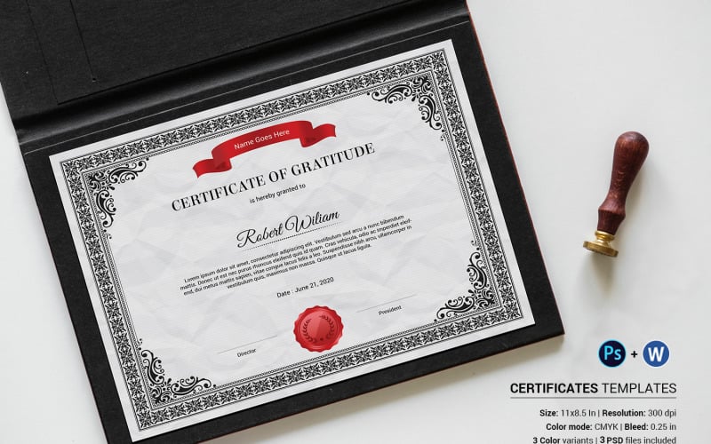 Download Шаблон сертификата "Robert Gratitude Certificate Template" / Robert Gratitude Certificate Template - Шаблон сертификата на тему графика certificate template,gratitude,appreciation,achievement,award,completion,recognition,academic,word,psd,photoshop,docx,print ready,us letter,multipurpose,diploma