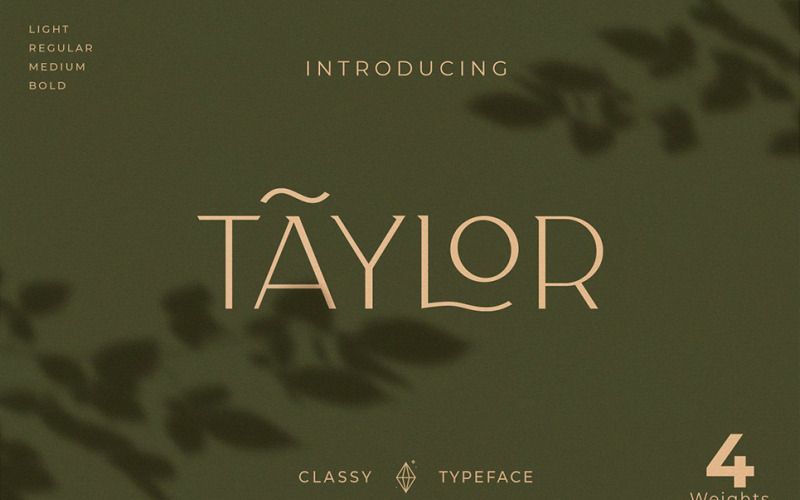 Классный шрифт Taylor Typeface