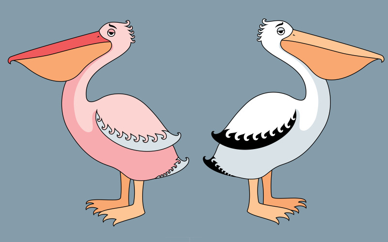 Download Иллюстрация "Pelicans - Illustration" / Pelicans - Illustration - Иллюстрация на тему графика pelican,white,pink,bird,cartoon,vector,illustration,isolated,isolated on white,pouch,clip art,clipart,design element