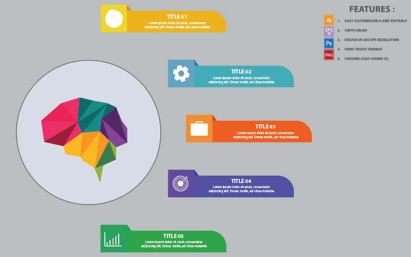 Beyin çokgen tasarım Infographic öğeleri