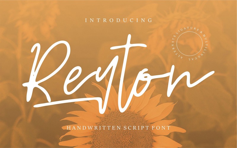 Reyton | Police cursive manuscrite