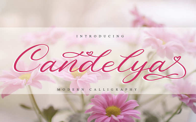 Download Шрифт "Candelya | Modern Calligraphy Font" / Candelya | Modern Calligraphy Font - Шрифт на тему графика abc,type,text,hand,script,calligraphy,sign,alphabet,typography,font,lettering,handwritten,vector,drawn,style,typeface,design,brush,symbol,graphic