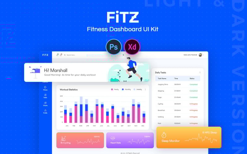 Fitz: Elementos da IU do Painel de Fitness