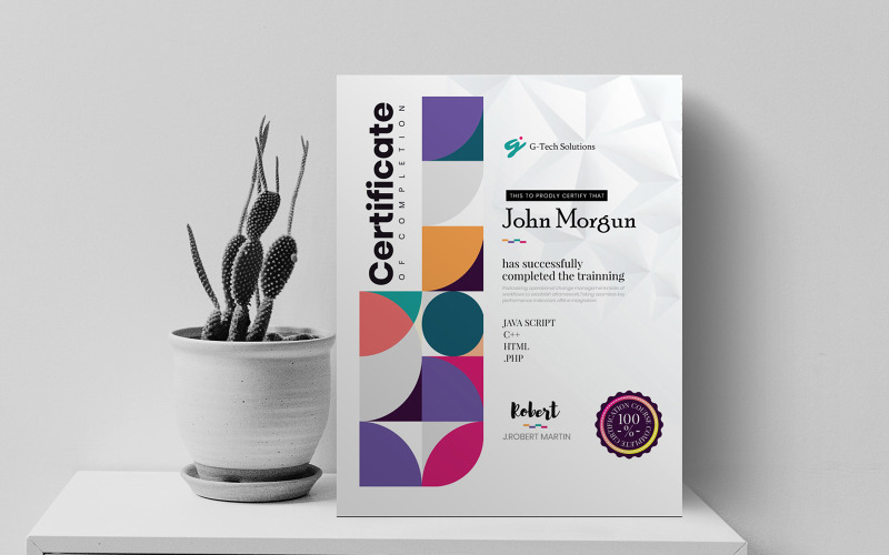 Plantilla de certificado profesional