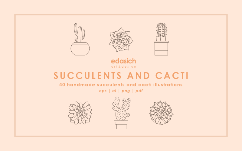 Conjunto de ilustraciones hechas a mano de cactus y suculentas - Imagen vectorial