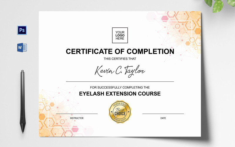 Download Шаблон сертификата "Professional Certificate Template" / Professional Certificate Template - Шаблон сертификата на тему графика certificate,diploma,custom certificate,custom diploma,graduation,school certificate,school diploma,certificate template,diploma template,editable certificate    diploma,customized diploma,dip