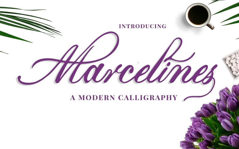 Download Шрифт "Marcelines A Modern Calligraphy Font" / Marcelines A Modern Calligraphy Font - Шрифт на тему графика beautiful font,branding font,calligraphy font,classy font,elegant font,fashion font,feminine font,handwriting font,handwritten font,lettering font,logo font,luxury font,minimalist font,modern