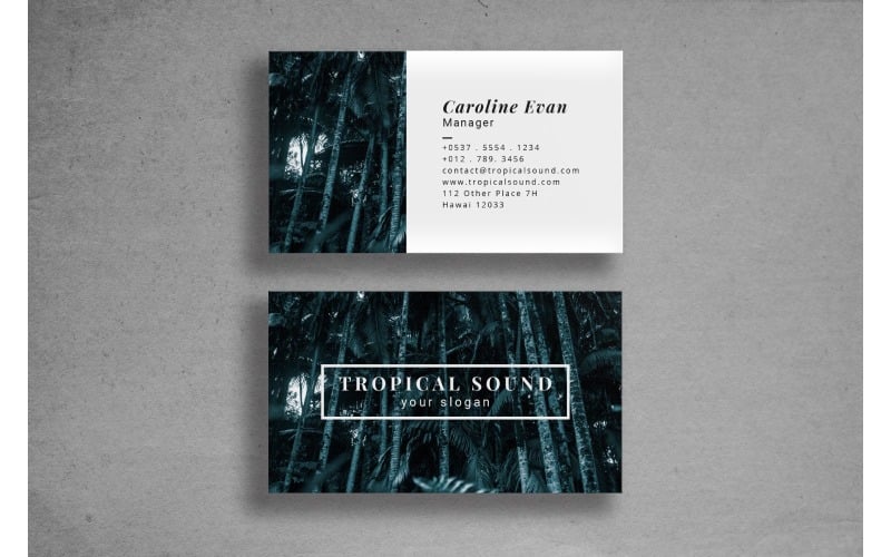 Download Фирменный стиль "Business Card Tropical Sound - Corporate Identity Template" / Business Card Tropical Sound - Corporate Identity Template - Фирменный стиль на тему графика adobe illustrator,adobe photoshop,branding,business card,companies,contact,identity,information,marketing,name,print,professional,profile,resume,template