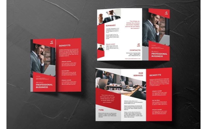 Trifold Professional Business - Corporate Identity Template