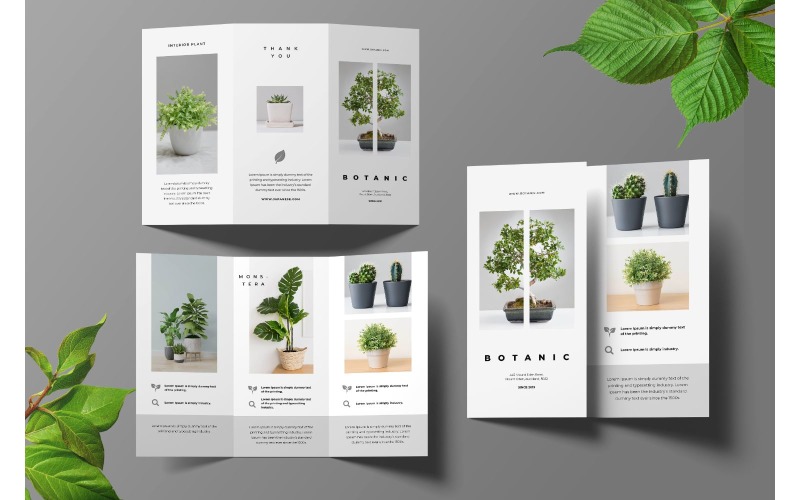 Download Фирменный стиль "Trifold Botanic - Corporate Identity Template" / Trifold Botanic - Corporate Identity Template - Фирменный стиль на тему графика trifold,brochure,design,adobe illustration,adobe photoshop,business,companies,document,identity,information