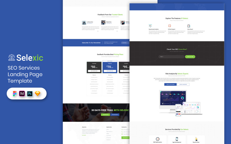 Éléments de l'interface utilisateur du modèle de page de destination du service SEO
