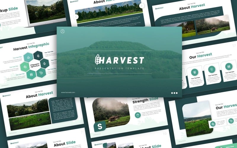 Modello PowerPoint di presentazione dell'agricoltura del raccolto