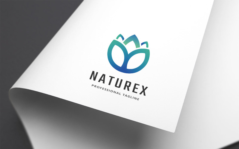 Download Шаблон логотипа "Naturex Logo Template" / Naturex Logo Template - Шаблон логотипа на тему графика app,eco,energy,environment,floral,flower,flowers,forest,grow,growth,hexagon,leaf,modern,natural,nature,outline,plant,professional,shape,tree
