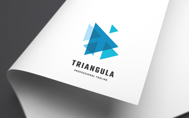 Triangula Logo Şablonu