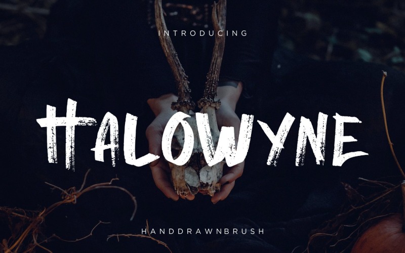 Download Шрифт "Halowyne Handdrawn Brush Font" / Halowyne Handdrawn Brush Font - Шрифт на тему графика branding,condensed,display,serif,classy,handdrawn,handlettering,handwritten,handwritting,casual,modern,logo,typography,elegant