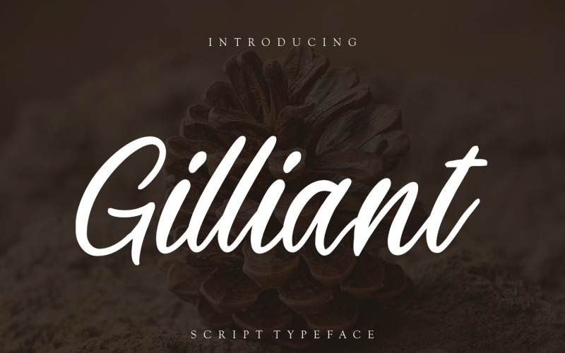 Download Шрифт "Gilliant Script Typeface Font" / Gilliant Script Typeface Font - Шрифт на тему графика script,branding,handwriting,handwritten,brush,quotes,calligraphy,logo,typography,signature,elegant,invitation,wedding,vintage,fashion