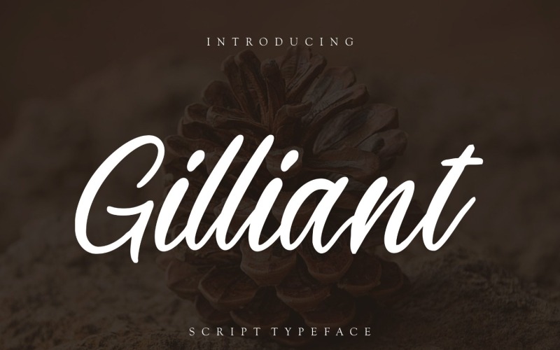 Gilliant Script Typsnitt typsnitt