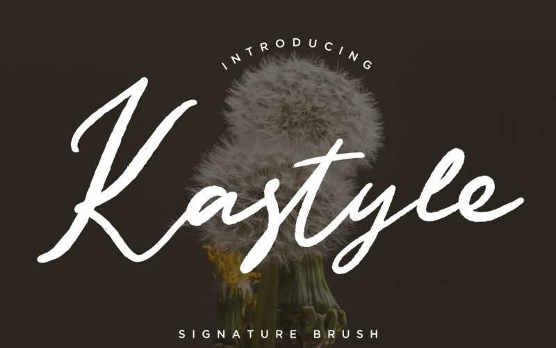 Шрифт Kastyle Signature Brush