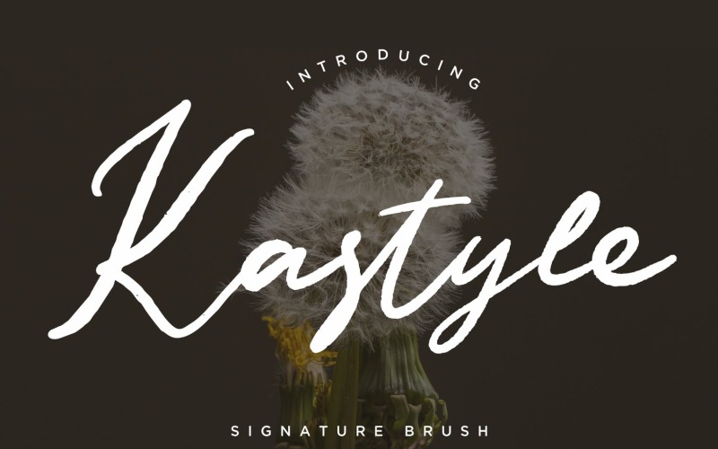 Шрифт підпису пензля Kastyle