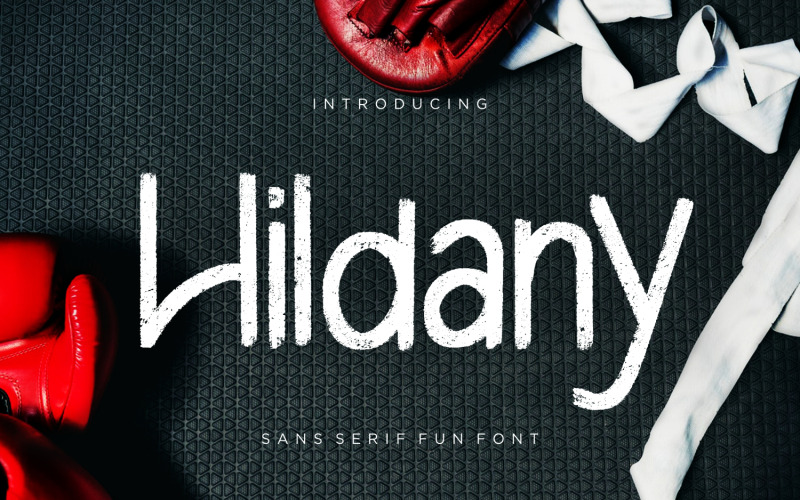 Hildany Sans Fun Schriftart