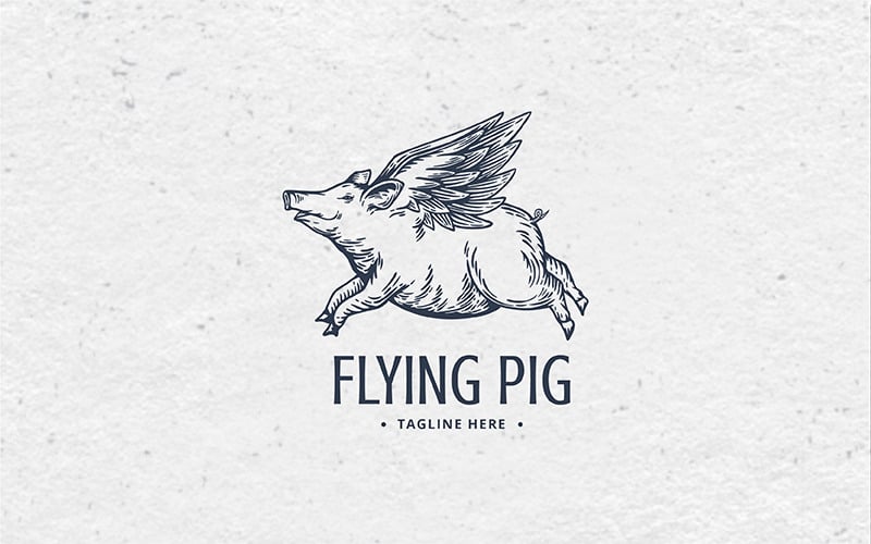 flying pig logo clothing brand