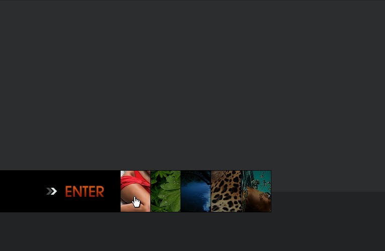 Photographer Portfolio Flash Template