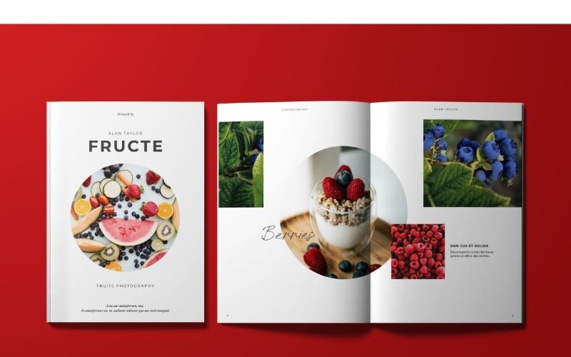 Fructe Magazine Template