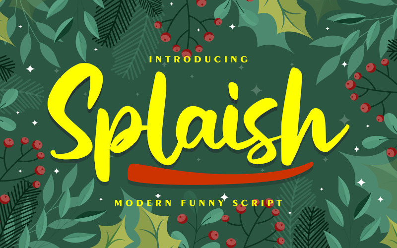 Splaish | Modernt roligt kursivt teckensnitt