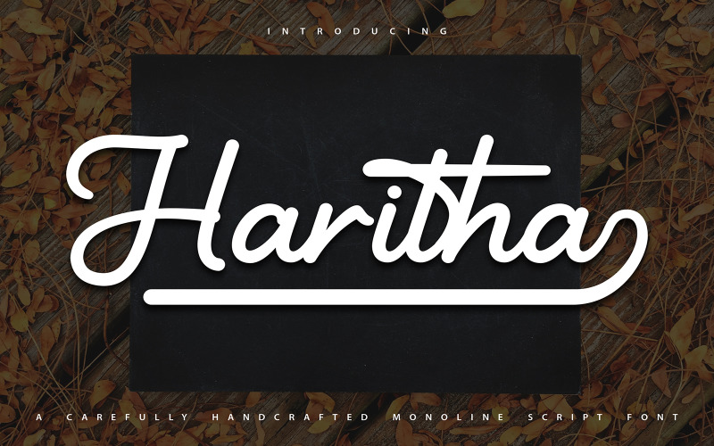 Download Шрифт "Haritha | Handcrafted Monoline Cursive Font" / Haritha | Handcrafted Monoline Cursive Font - Шрифт на тему графика font,alphabet,calligraphy,bundles,typography,type,monoline,handwritten,art,script,drawn,style,handwriting,symbol,vector,graphic,modern,typeface,letter,sign
