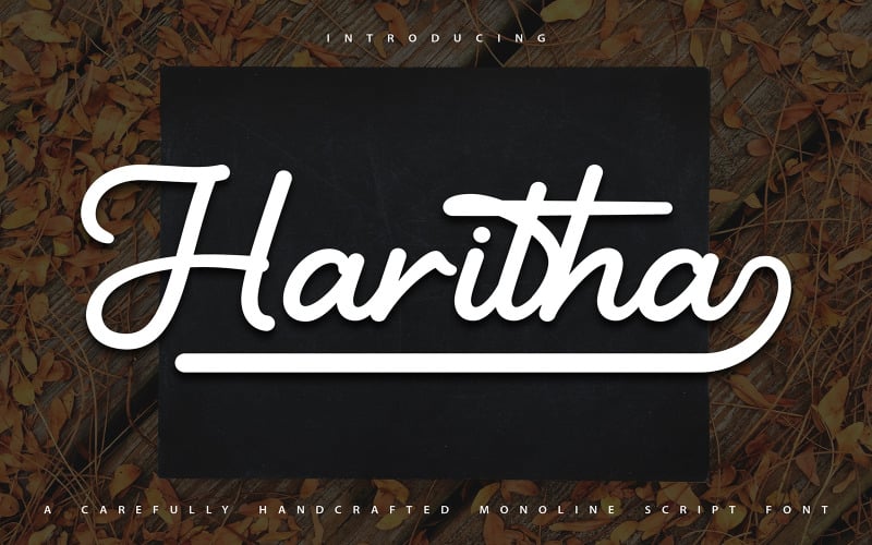 Haritha | Handgjord Monoline Cursive Font