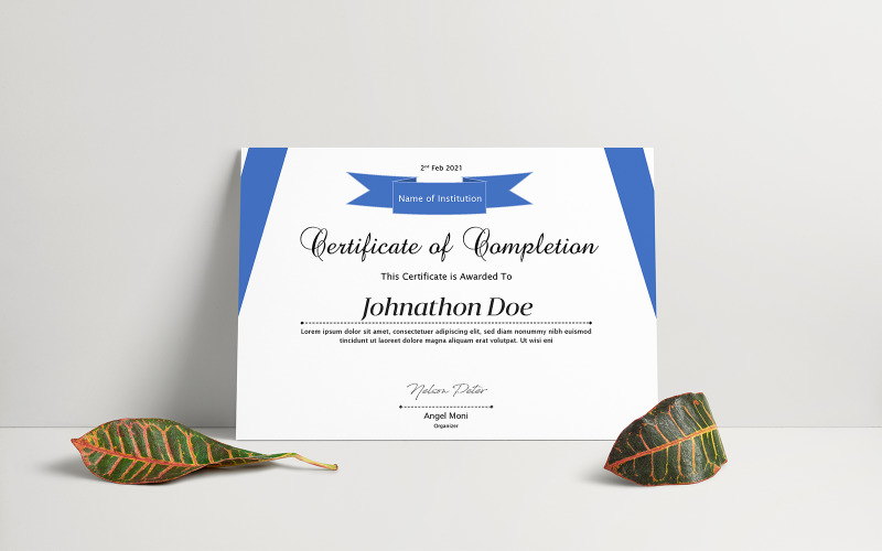 Download Шаблон сертификата "Nelson Peter Certificate Template" / Nelson Peter Certificate Template - Шаблон сертификата на тему графика achievement,acknowledgement,appraisal appreciation,award,certificate template,certificate word,certification,corporate,corporate certificate,rewards,ms word,diploma,employee,employee certific