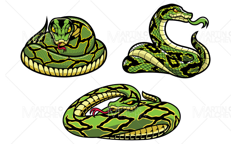 Serpenti Su Bianco