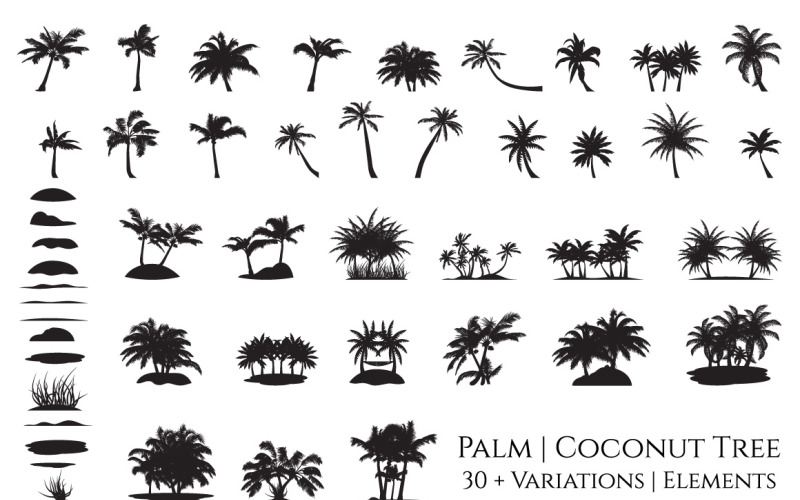 Conjunto de elementos de silhueta de palmeira de coco