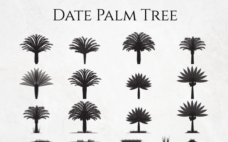 Data Palm Tree sylwetka zestaw elementów