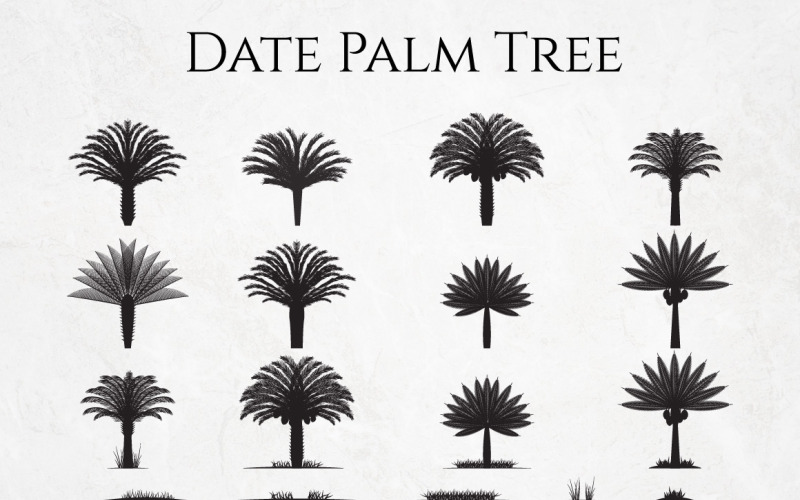 Date Palm Tree Silhouette Element Set