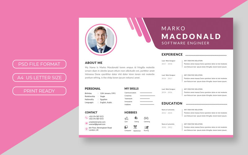 Software Engineer Resume Template Theme