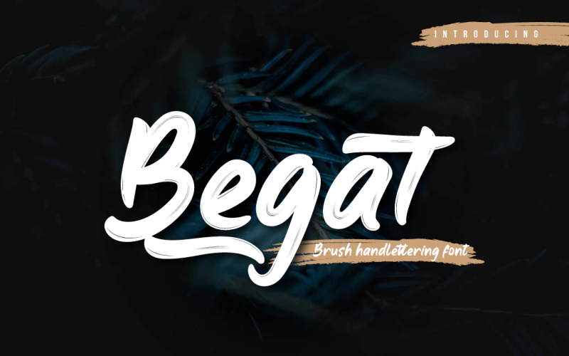 Fonte Begat