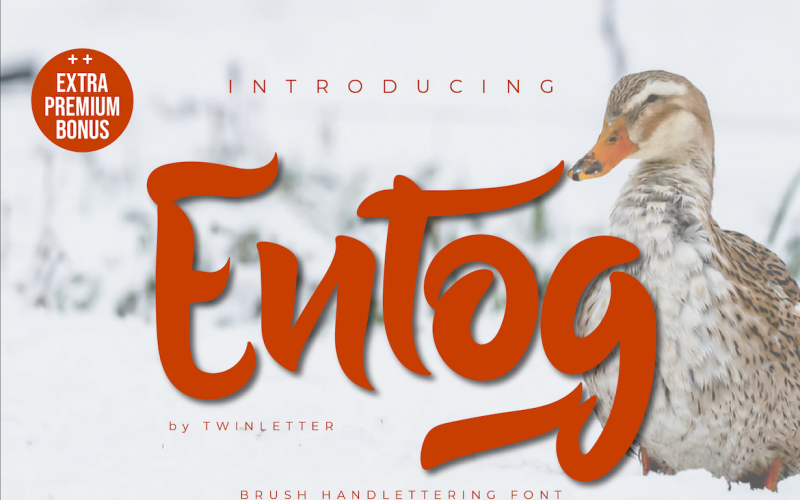 Entog-teckensnitt