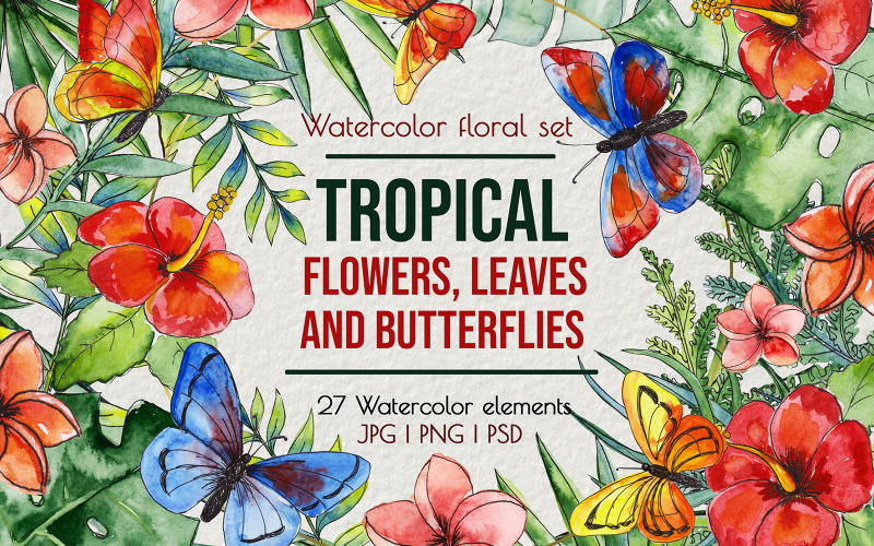 Tropische exotische Blätter & Blumen, Schmetterlinge ClipArt-Illustrationen
